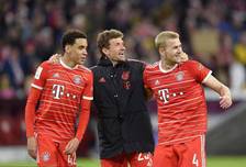 伦敦奥运马术双骄伴随爱马同日辞世 相互扶持逾二十载共谱辉煌传奇（伦敦奥运马术双雄与爱马同日谢幕 相伴二十余载共铸辉煌传奇）